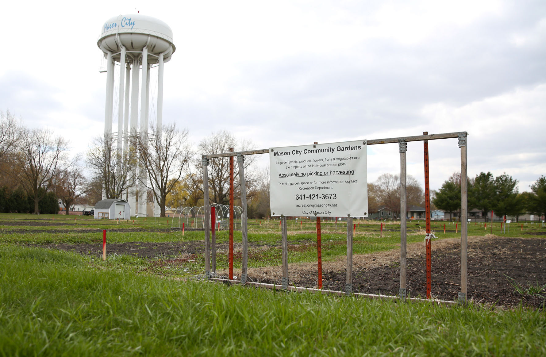 S. Kentucky garden.jpg